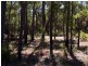 Lot 331, 13 Honeysuckle Glen, Cowaramup WA 6284