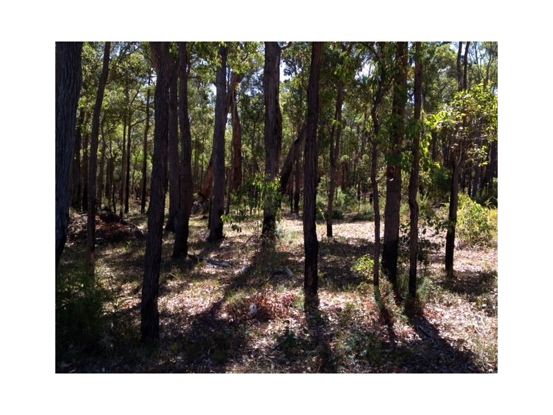Lot 331, 13 Honeysuckle Glen, Cowaramup WA 6284