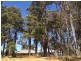 Lot 510, 6 Malbec Street, Cowaramup WA 6284