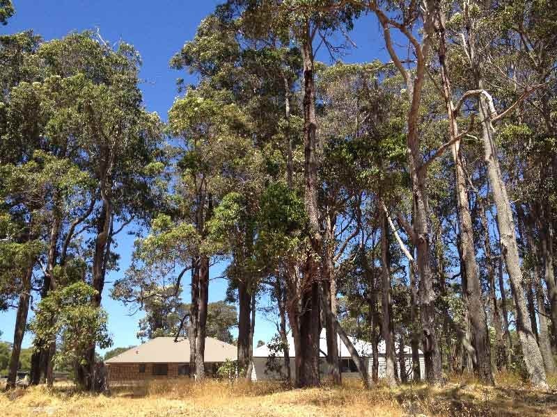 Lot 510, 6 Malbec Street, Cowaramup WA 6284