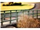 Lot 559 Nuytsia Close, Margaret River WA 6285