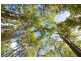 Lot 565 Jansonia Avenue, Margaret River WA 6285