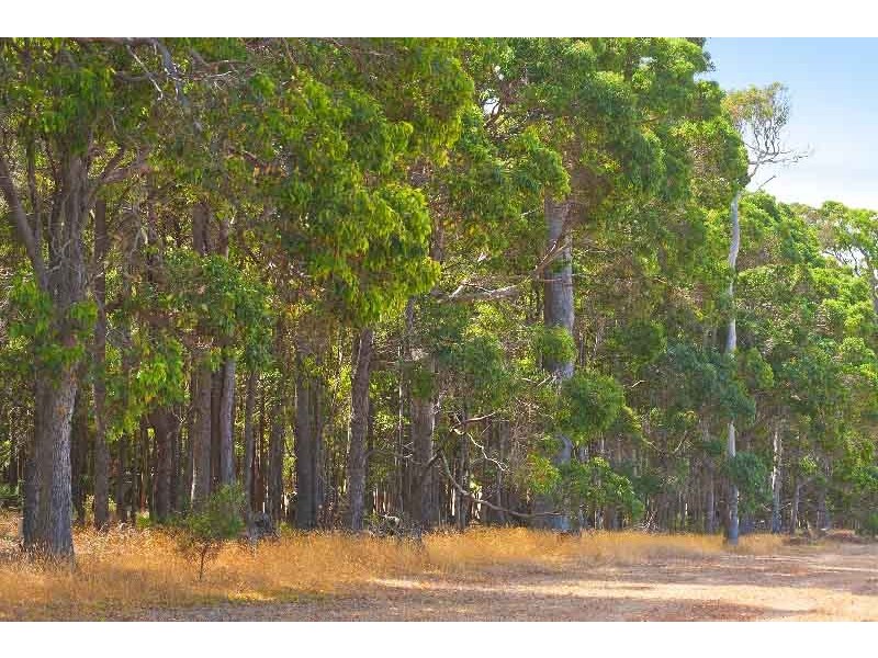 Lot 569 Jansonia Avenue, Margaret River WA 6285
