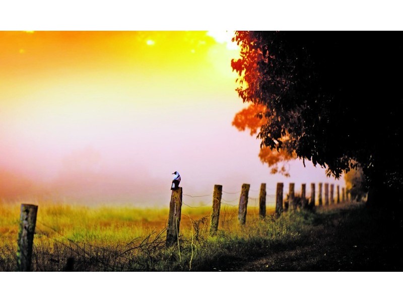 Lot 563 Sargentii Circuit, Margaret River WA 6285