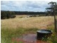 Lot 50 Bussell Highway, Forest Grove, Margaret River WA 6285