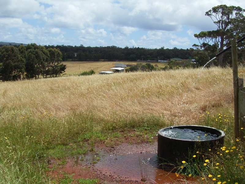 Lot 50 Bussell Highway, Forest Grove, Margaret River WA 6285