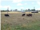 Lot 50 Bussell Highway, Forest Grove, Margaret River WA 6285