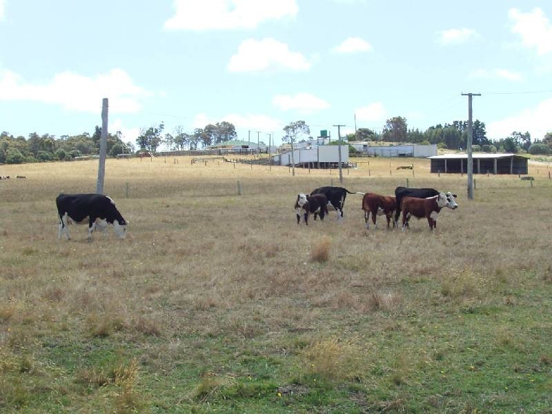 Lot 50 Bussell Highway, Forest Grove, Margaret River WA 6285