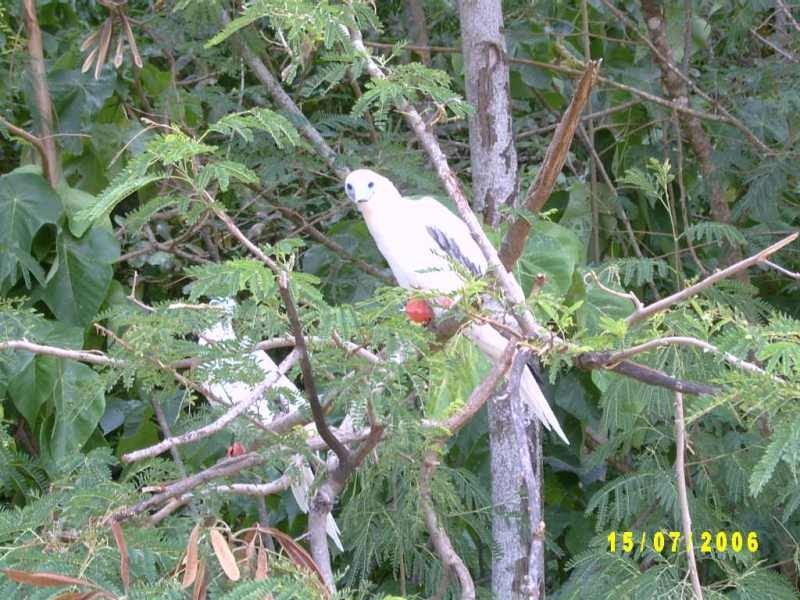 Lot 5 Christmas Highland Estate, Christmas Island WA 6798