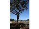 Lot 18 Honeytree Grove, Cowaramup, Cowaramup WA 6284