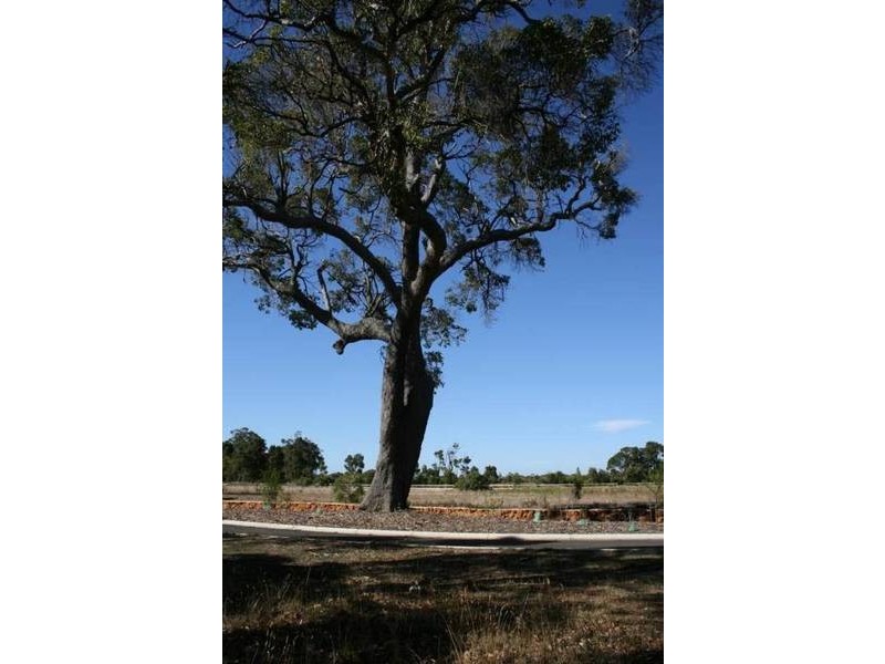 Lot 18 Honeytree Grove, Cowaramup, Cowaramup WA 6284