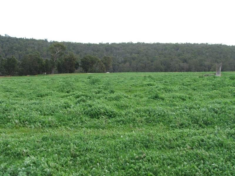 Lot 205 Park Avenue, Bridgetown WA 6255