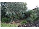 3 Tingle Avenue, Margaret River WA 6285