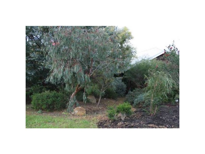3 Tingle Avenue, Margaret River WA 6285