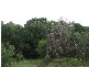Lot 10 Dallip Spring Road, Kilcarnup, Margaret River WA 6285