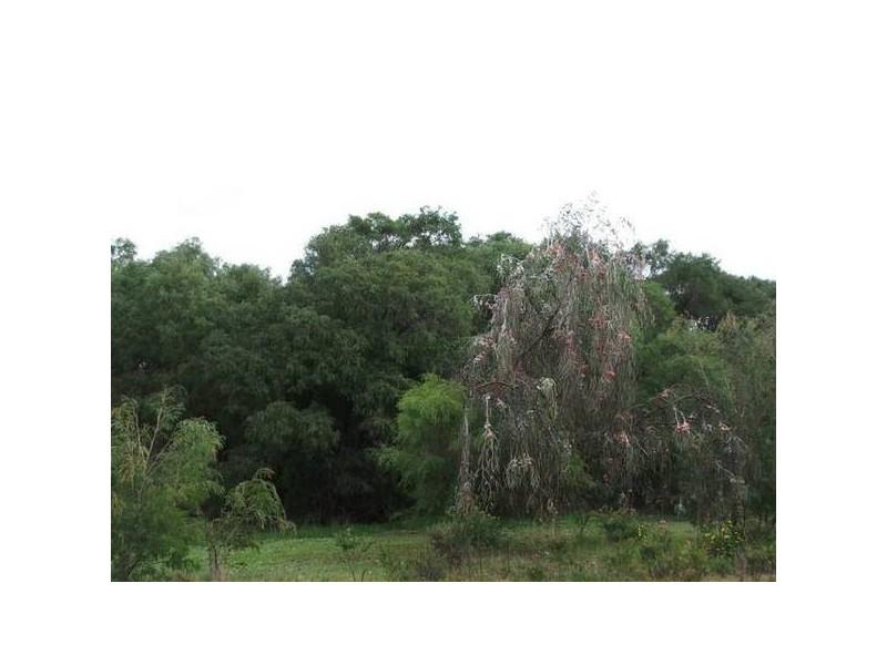 Lot 10 Dallip Spring Road, Kilcarnup, Margaret River WA 6285
