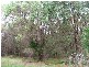 Lot 10 Dallip Spring Road, Kilcarnup, Margaret River WA 6285