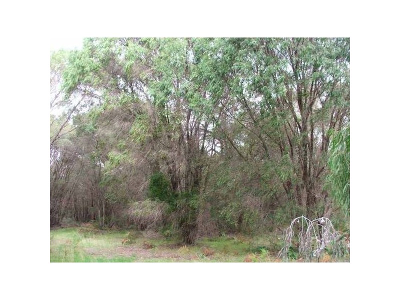 Lot 10 Dallip Spring Road, Kilcarnup, Margaret River WA 6285