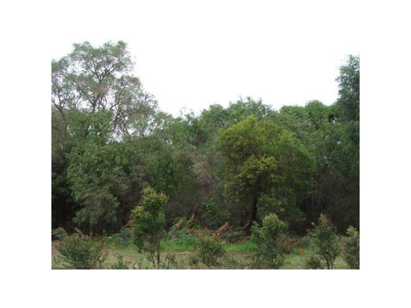 Lot 10 Dallip Spring Road, Kilcarnup, Margaret River WA 6285