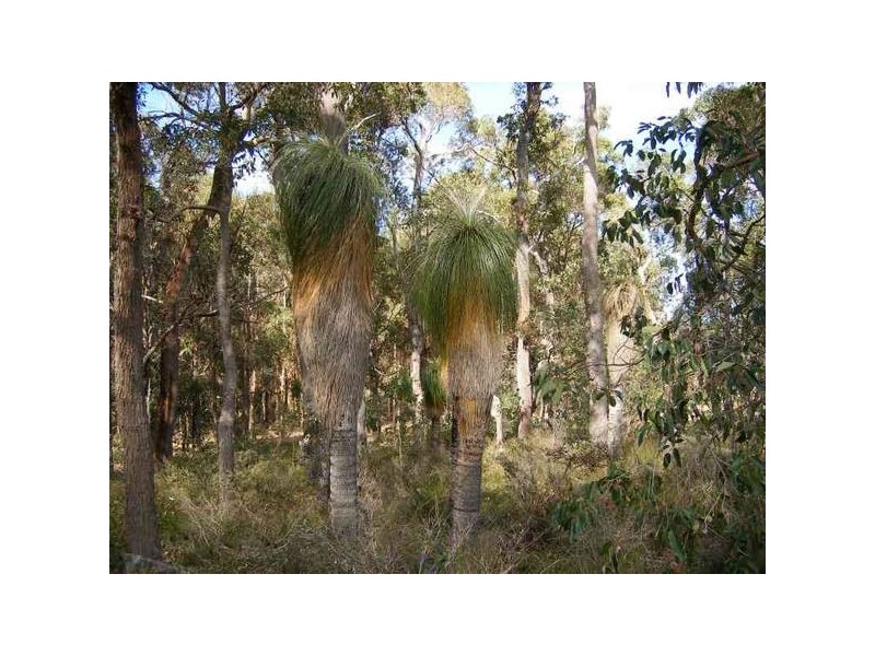 Lot 2890 & 2891 Bramley River Road, Margaret River WA 6285