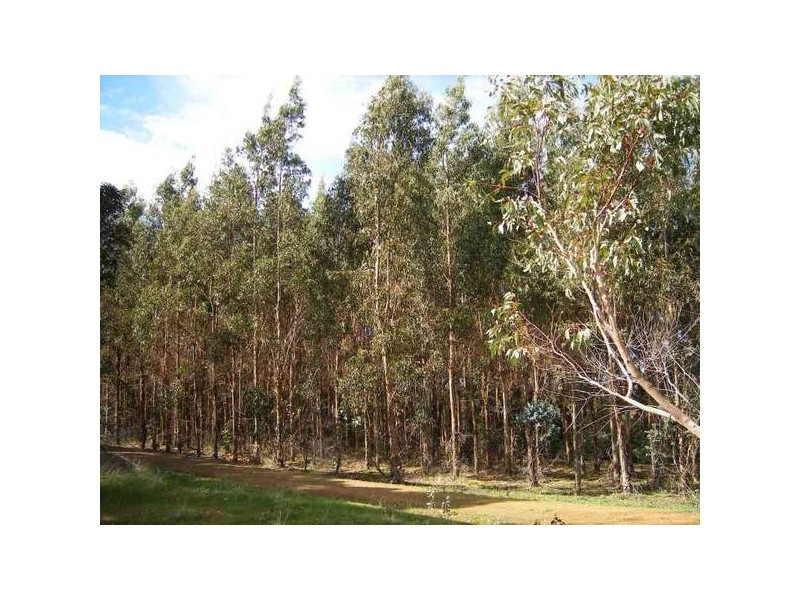 Lot 2890 & 2891 Bramley River Road, Margaret River WA 6285
