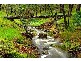 Lot 5 Glenellie Road, Margaret River WA 6285