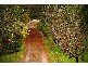 Lot 5 Glenellie Road, Margaret River WA 6285