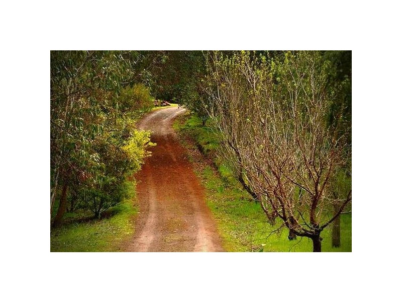 Lot 5 Glenellie Road, Margaret River WA 6285