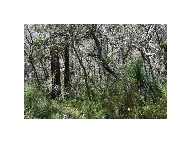 75 Terry Drive, Margaret River WA 6285