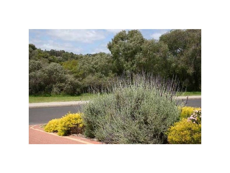 9 Melaleuca Boulevard, Margaret River WA 6285