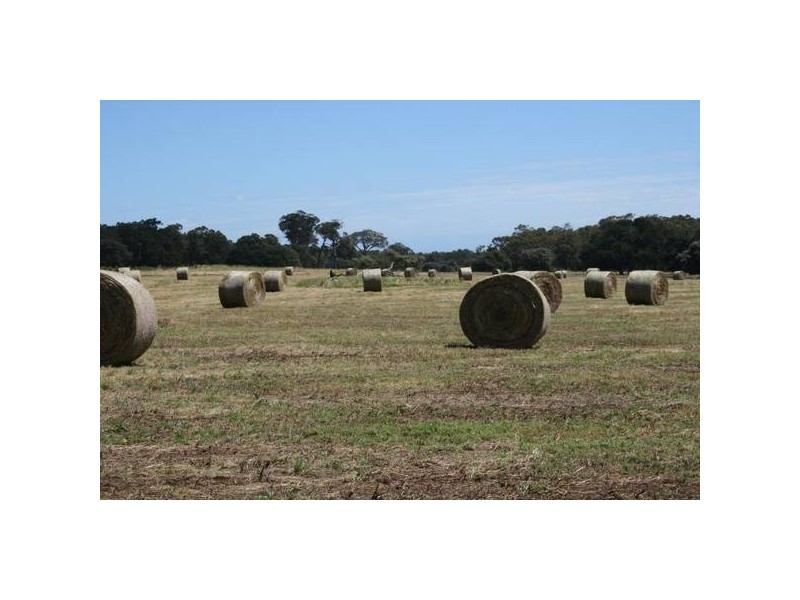 Lot 500 Ellen Brook Road, Gracetown WA 6284