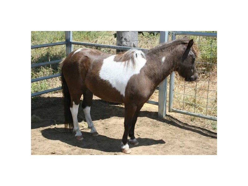 Lot 500 Ellen Brook Road, Gracetown WA 6284