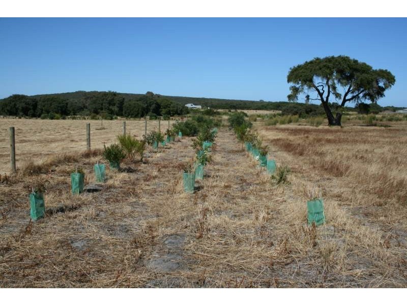 Lot 120 Mentelle Lane, Kilcarnup, Margaret River WA 6285