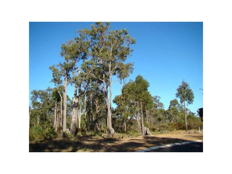 Lot 111 Sanctuary Circle, Cowaramup WA 6284