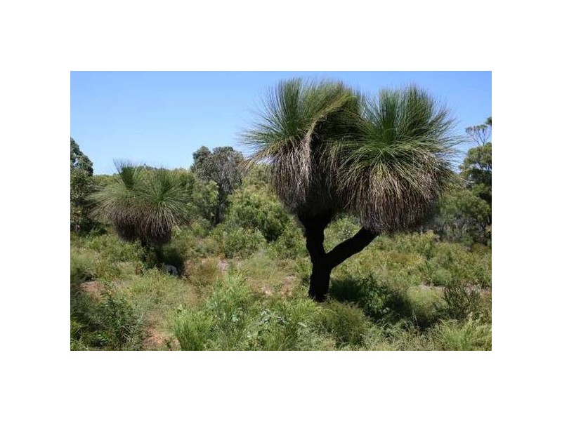 Lot 67 Colyer Drive, Hamelin Bay WA 6288