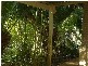 3/2 Abbotts Nest, Christmas Island WA 6798