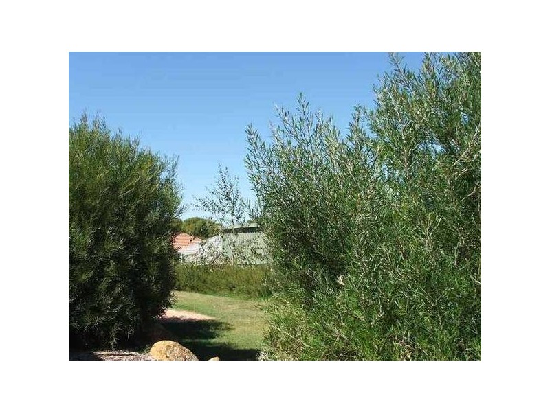 4 Kunzea Loop, Margaret River WA 6285