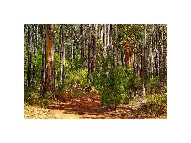 47 Mansfield Avenue, Margaret River WA 6285