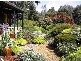 37 Exmoor Drive, Margaret River WA 6285