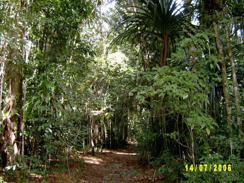 8 Coconut Grove, Christmas Island WA 6798