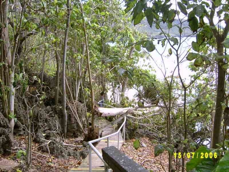 8 Coconut Grove, Christmas Island WA 6798