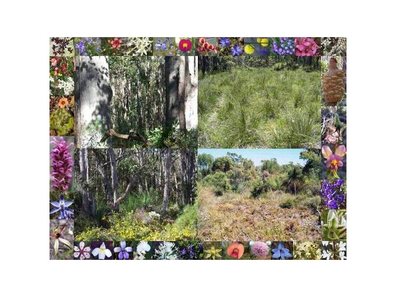 150 Tanah Marah Road, Margaret River WA 6285