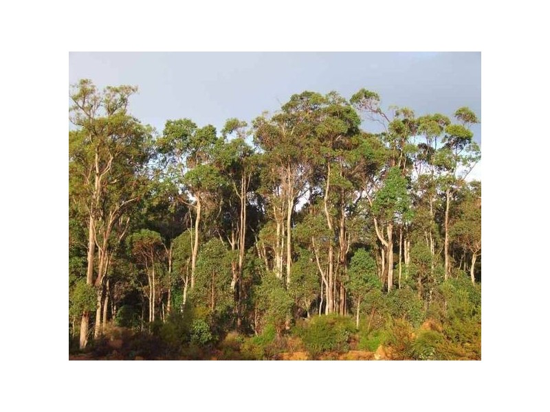 150 Tanah Marah Road, Margaret River WA 6285