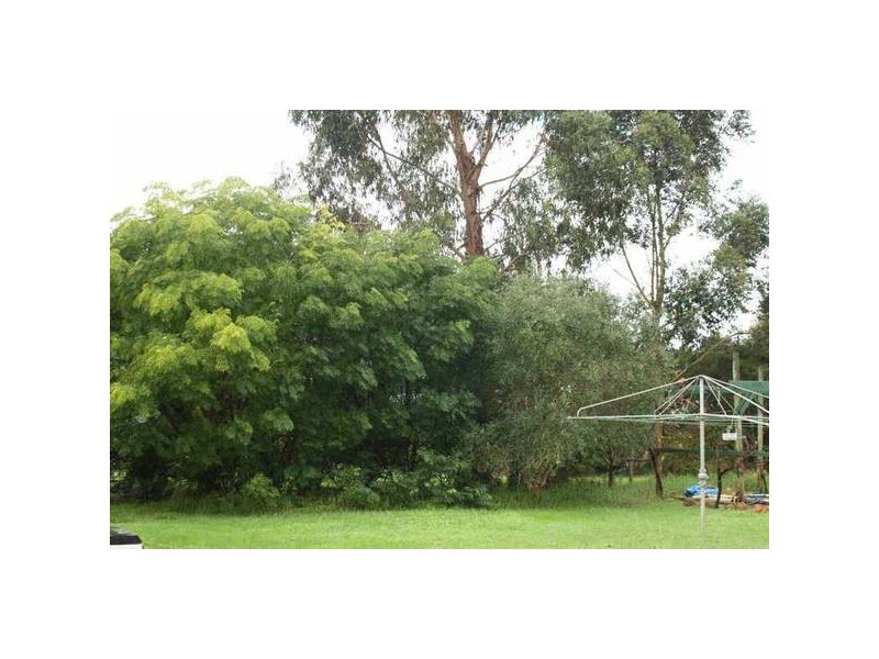 15 Waverley Road, Cowaramup WA 6284