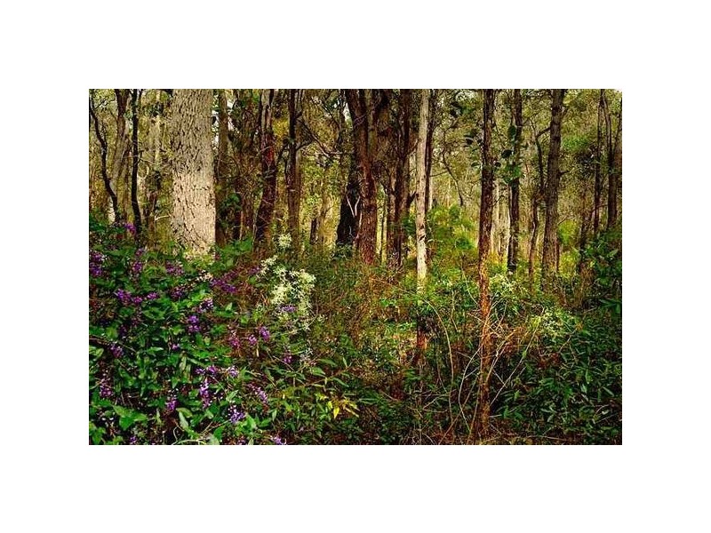 Lot 35 Kevill Road East, Margaret River WA 6285