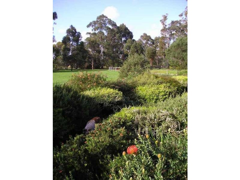 37 Exmoor Drive, Margaret River WA 6285