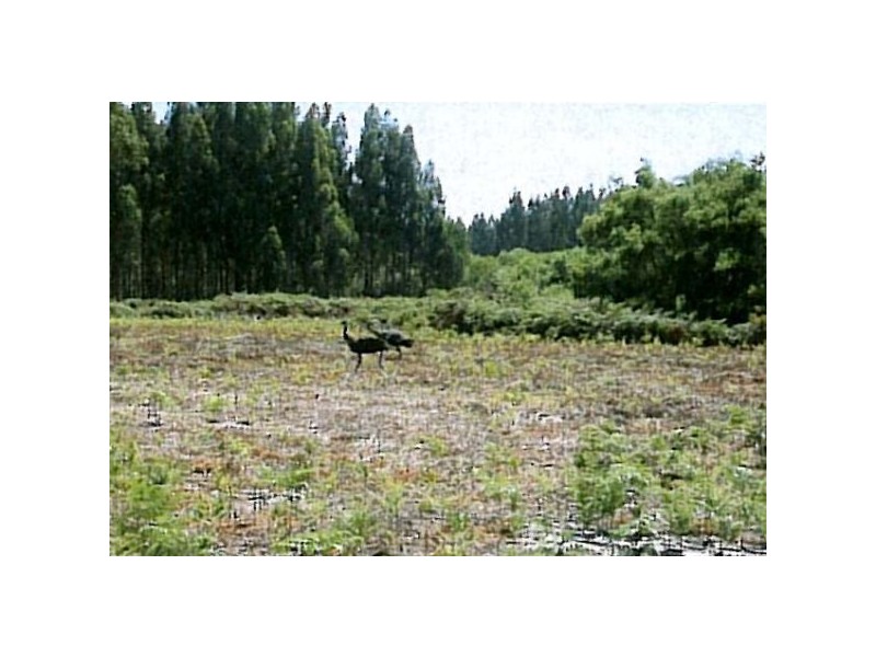 9/1 Sebbes Road, Margaret River WA 6285