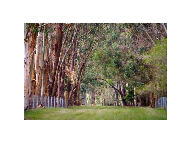 225 Osmington Road, Bramley, Margaret River WA 6285