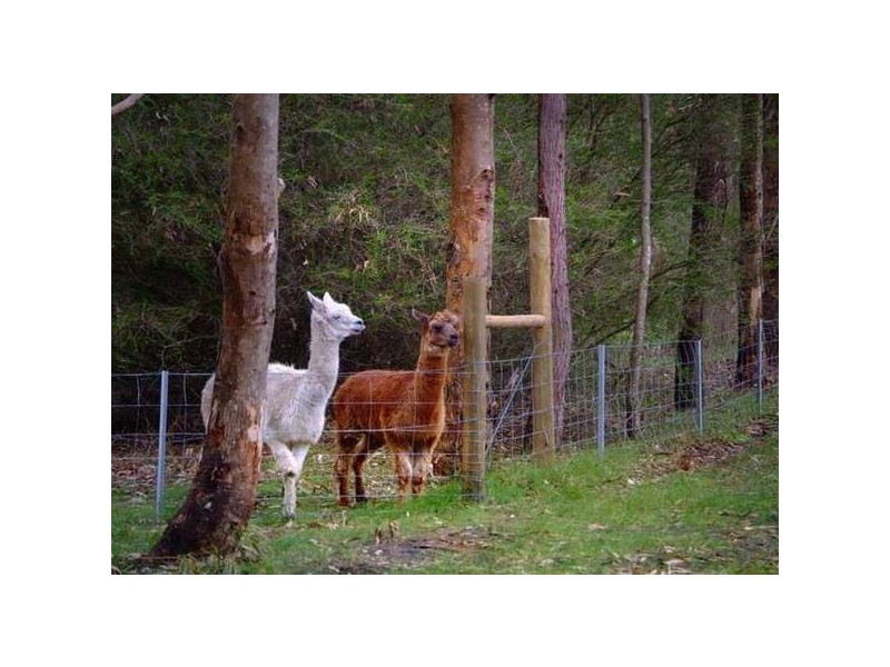 225 Osmington Road, Bramley, Margaret River WA 6285