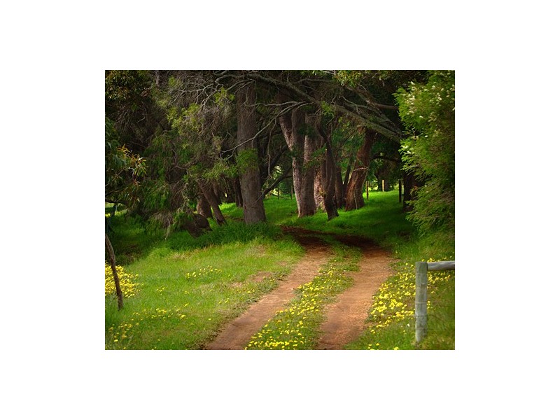 5 Horseford Road, Margaret River WA 6285